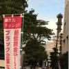 星川駅前の帷子川では鴨が遊び 猫が寛ぐ中 定例の夕方宣伝をしました。